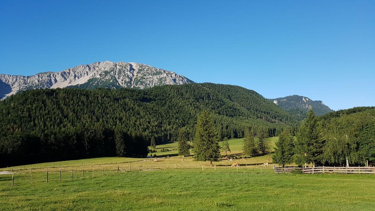 Ferienwohnungen Mamauwiese Gutenstein Экстерьер фото