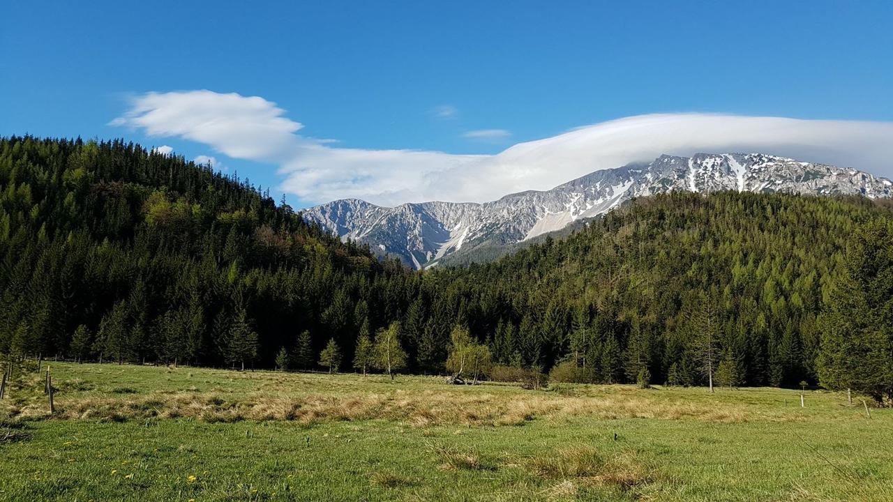 Ferienwohnungen Mamauwiese Gutenstein Экстерьер фото