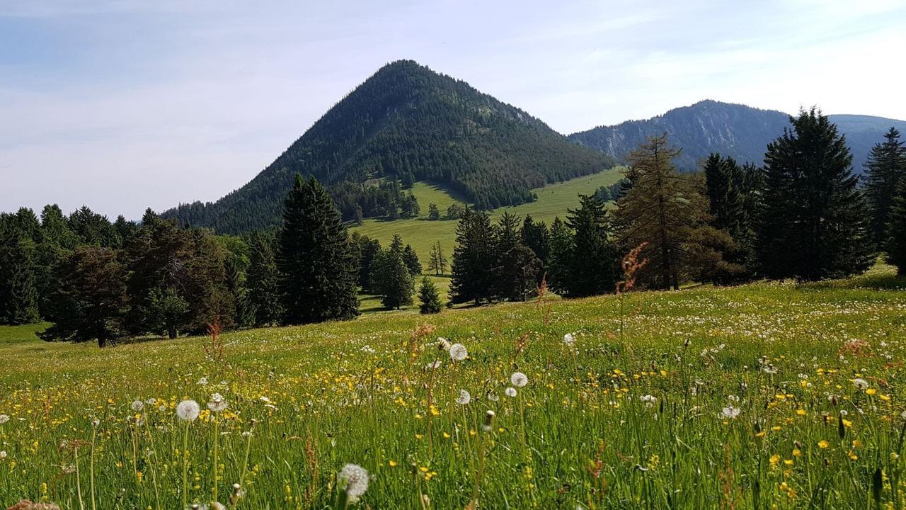 Ferienwohnungen Mamauwiese Gutenstein Экстерьер фото