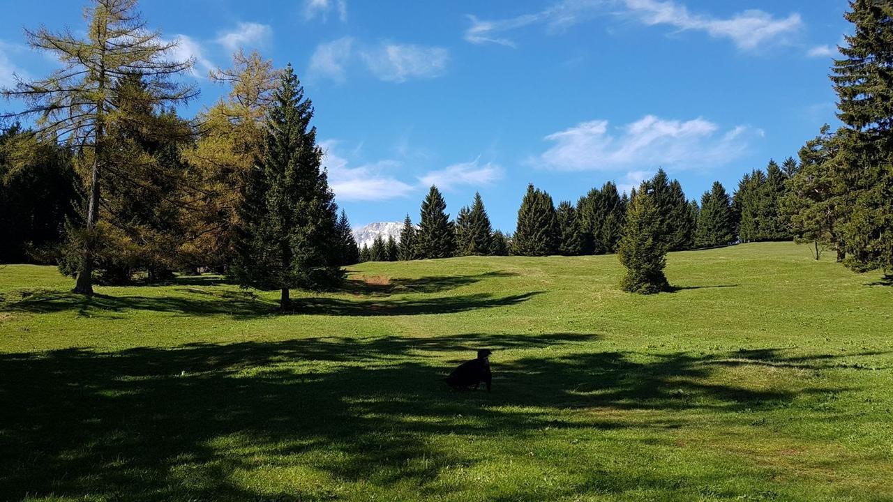 Ferienwohnungen Mamauwiese Gutenstein Экстерьер фото